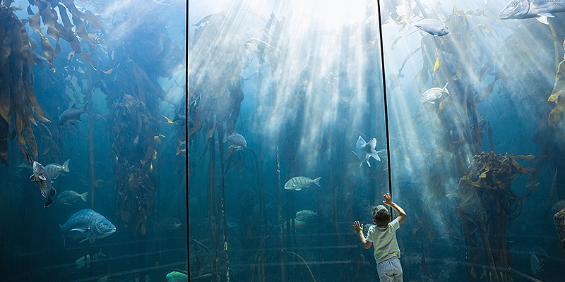 해양생명과학과